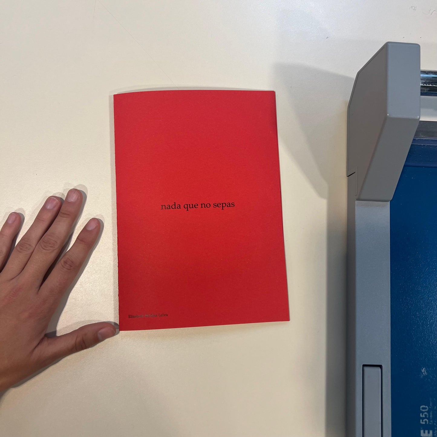 Fanzine ''nada que no sepas''